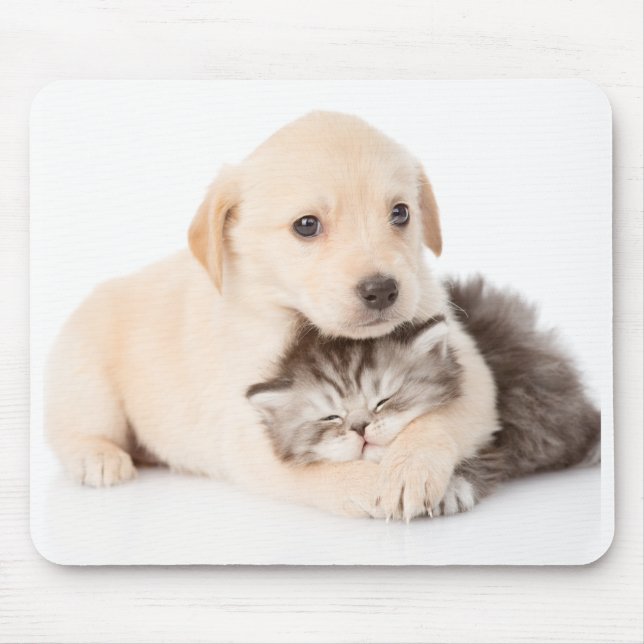 Mousepad gatinho dorme nas mãos do cachorro (Frente)
