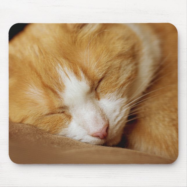 Mousepad Gatinho Dormindo (Frente)