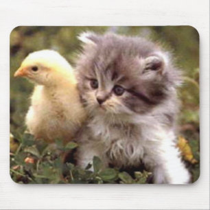 Mousepad Gatinho e pintinho do bebê