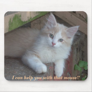 Mousepad GATINHO: Eu posso ajudá-lo com esse rato!!