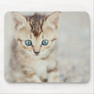 Mousepad Gatinho Eyed azul