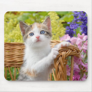 Mousepad Gatinho Gatinho Nosy Bonito num Jardim Flor
