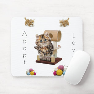 Mousepad Gatinho Gatinho, Pad de Mouse de Adoção de Gato!