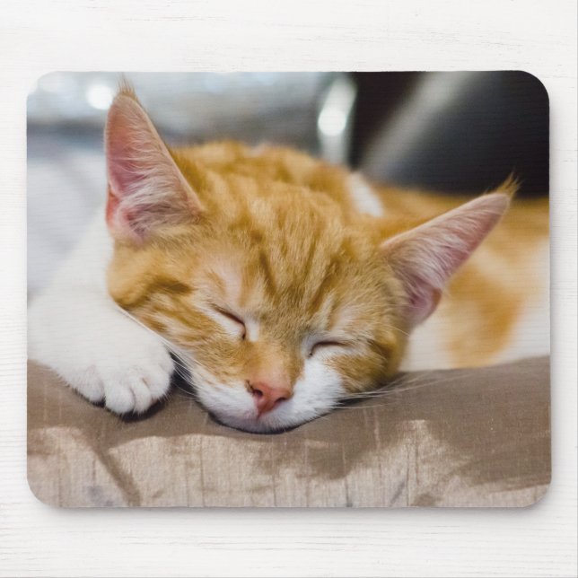 Mousepad Gatinho Gato (Frente)