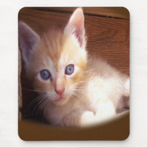 Mousepad Gatinho Gato