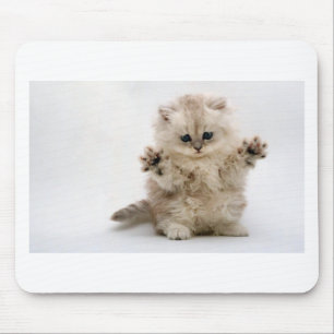 Mousepad Gatinho livre dos abraços