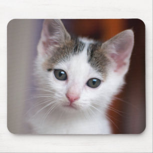 Mousepad Gatinho manchado branco