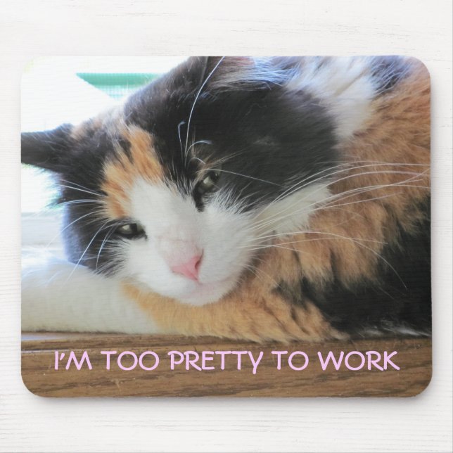 MOUSEPAD GATINHO MUITO BONITO PARA TRABALHAR (Frente)
