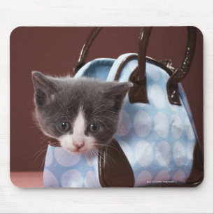 Mousepad Gatinho na bolsa