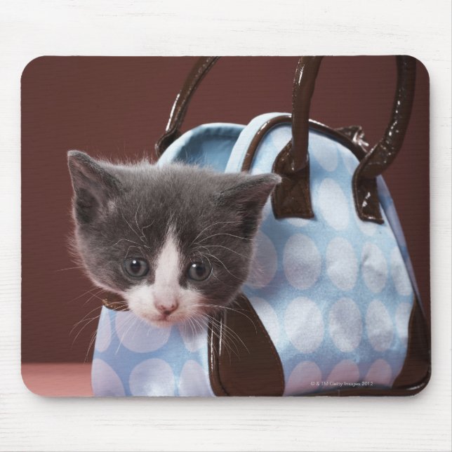 Mousepad Gatinho na bolsa (Frente)