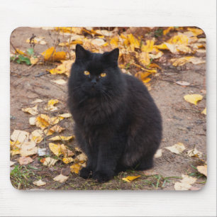 Mousepad Gatinho Negro Fluffy e Folhas de outono