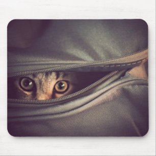 Mousepad Gatinho novo do gato malhado