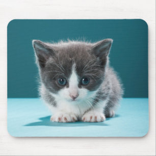 Mousepad Gatinho pequeno