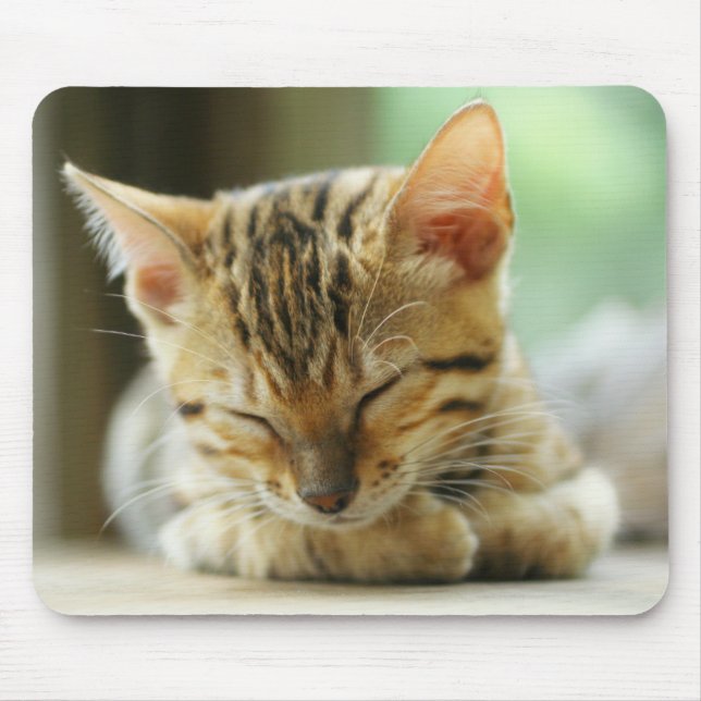 Mousepad Gatinho pequeno do bebê do sono (Frente)