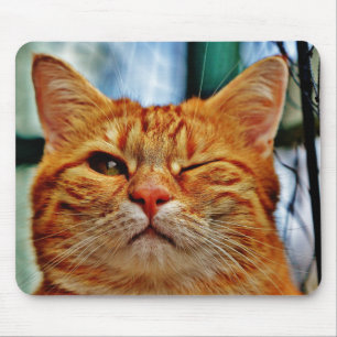 Mousepad gatinho piscar os olhos