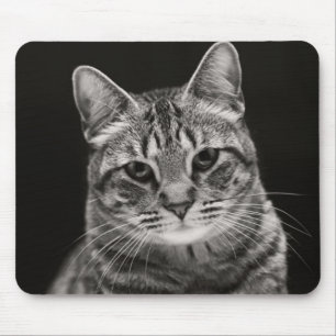 Mousepad Gatinho preto do gato malhado