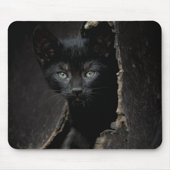 Mousepad Gatinho preto pequeno (Frente)