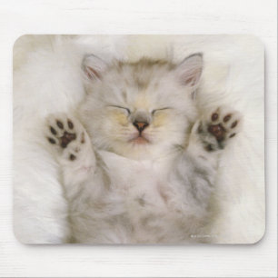 Mousepad Gatinho que dorme em um tapete macio branco,