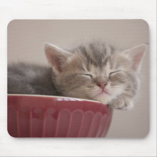 Mousepad Gatinho que dorme em uma bacia