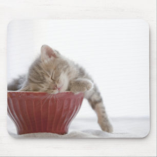 Mousepad Gatinho que dorme na bacia
