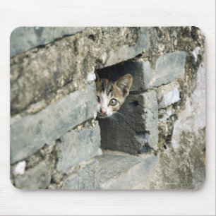 Mousepad Gatinho que espreita fora da parede, Yangshuo,