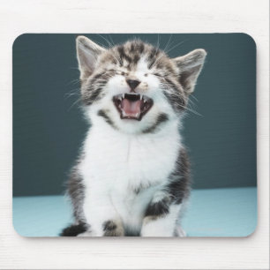 Mousepad Gatinho que meowing