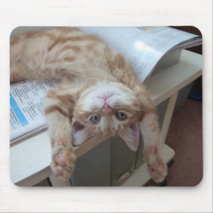 Mousepad Gatinho que relaxa