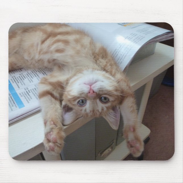 Mousepad Gatinho que relaxa (Frente)
