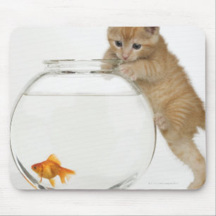 Mousepad Gatinho que tenta obter em um peixe dourado