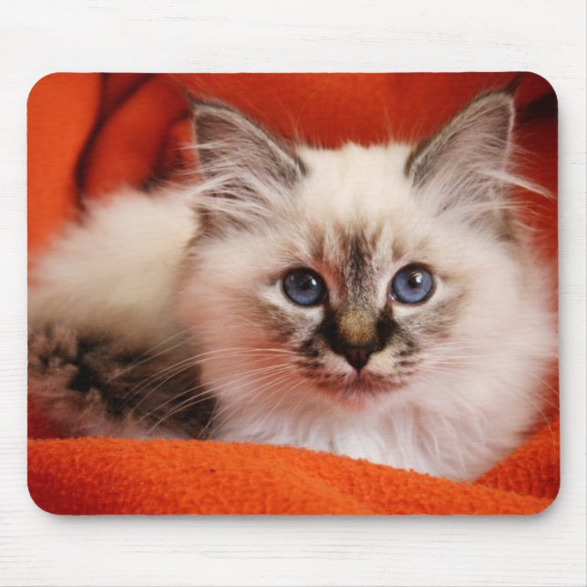 Mousepad Gatinho sagrado de Birman (Frente)