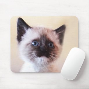 Mousepad Gatinho Siamês Azul Mascarado Adorável Fechar