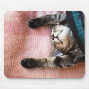 Mousepad Gatinho Snoozing