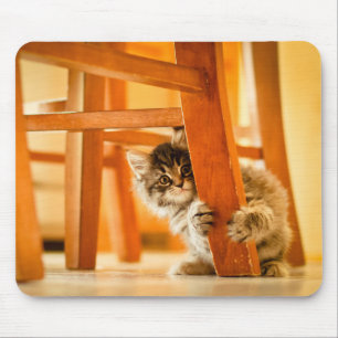 Mousepad Gatinho sob a cadeira