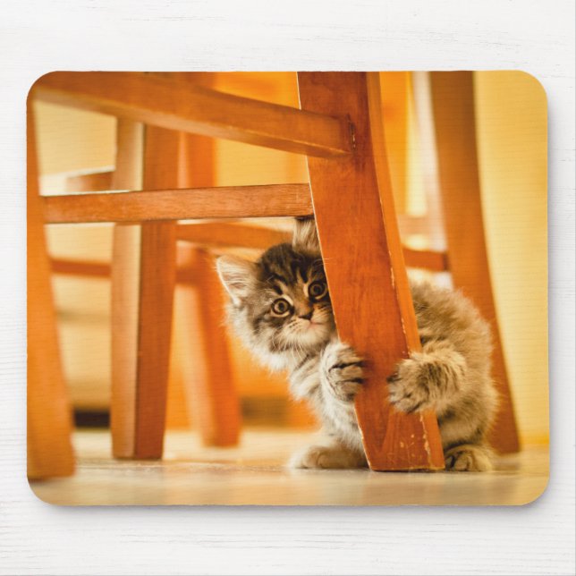 Mousepad Gatinho sob a cadeira (Frente)