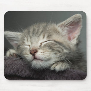 Mousepad Gatinho sonolento