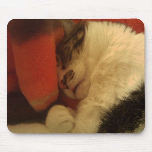 Mousepad Gatinho sonolento (Frente)
