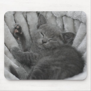 Mousepad Gatinho sonolento