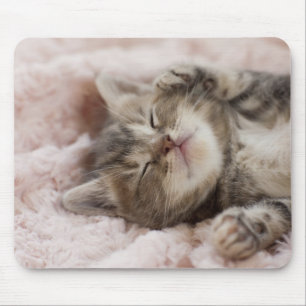 Mousepad Gatinho sonolento