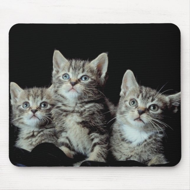 Mousepad Gatinhos Adoráveis (Frente)