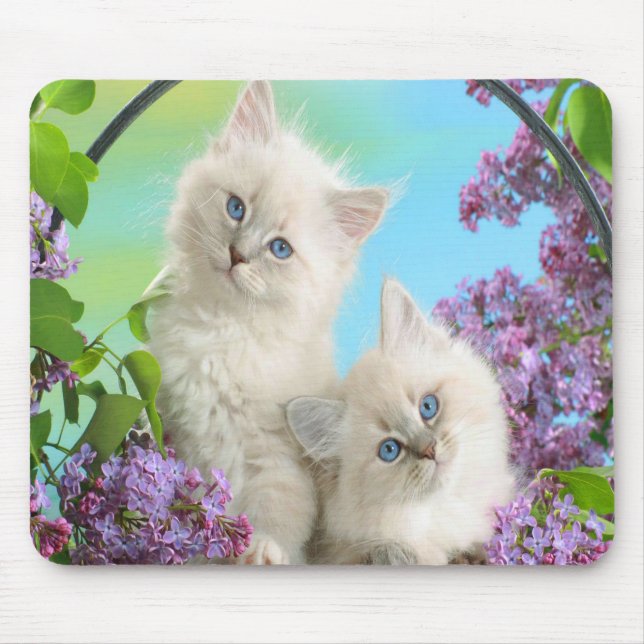 Mousepad Gatinhos Cujos (Frente)