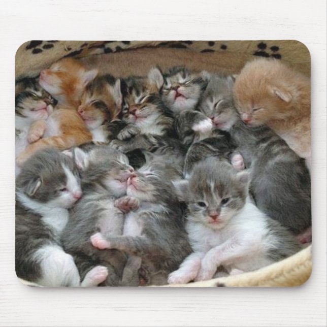 Mousepad Gatinhos do sono (Frente)
