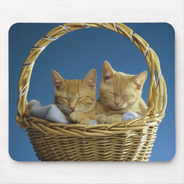 Mousepad Gatinhos dormindo no cesto (Frente)
