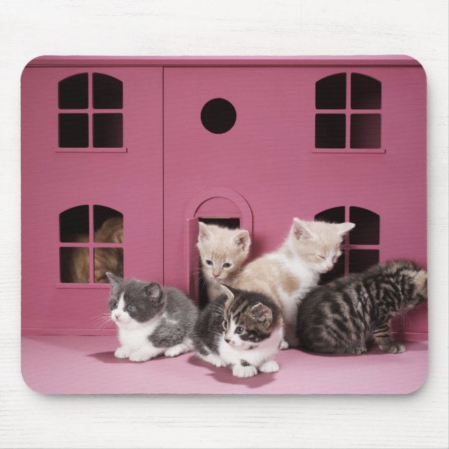 Mousepad Gatinhos na casa da boneca (Frente)