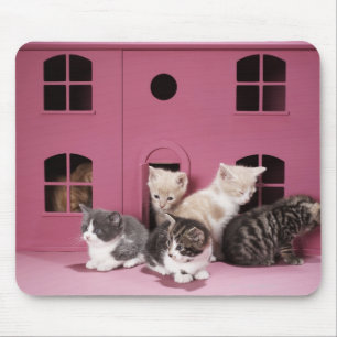 Mousepad Gatinhos na casa de boneca