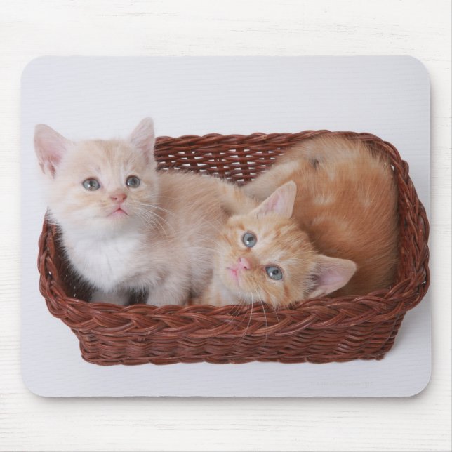 Mousepad Gatinhos no cesto (Frente)