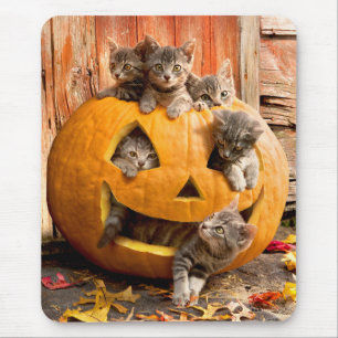 Mousepad Gatinhos no Jack-o-Lanterna
