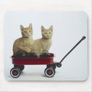 Mousepad Gatinhos no vagão