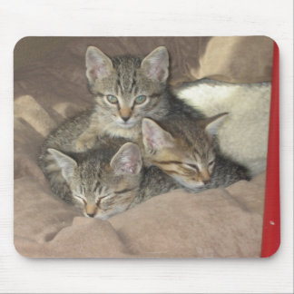 Mousepad Gatinhos peluches
