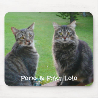 Mousepad Gatinhos Pono & Paka Lolo