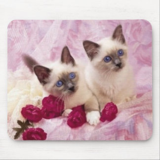 Mousepad gatinhos siamese